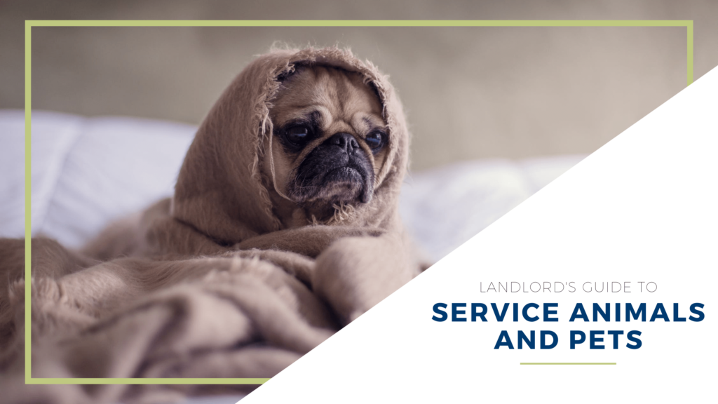Landlord's Guide to Service Animals and Pets - article banner