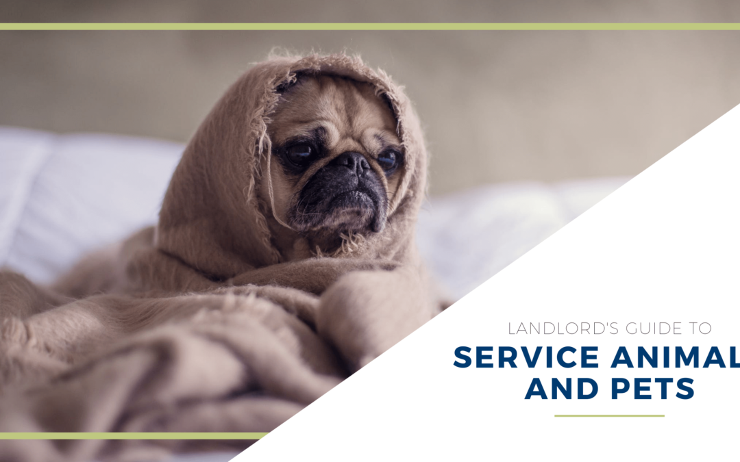 Service Animals, Emotional Support Animals, and Pets | Dayton Landlord Handbook