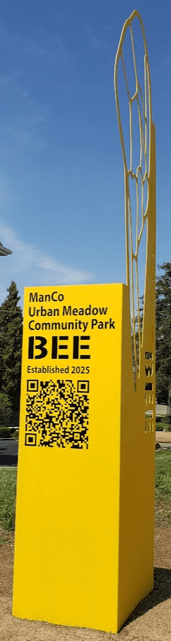 The BEE ManCo Urban Meadow Community Park BEE